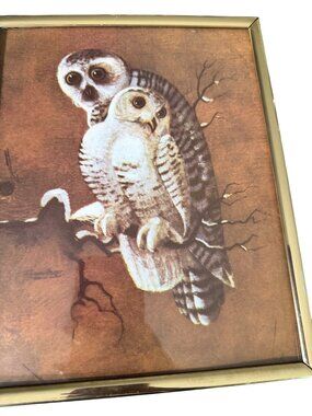 Vintage Richard Hinger Snowy Owls Framed Owl Artwork Wall Decor